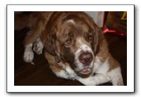 Family and Friends - Jan 2011 296