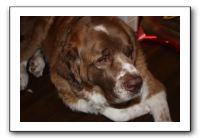 Family and Friends - Jan 2011 297