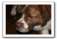 Family and Friends - Jan 2011 298