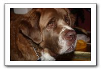 Family and Friends - Jan 2011 299