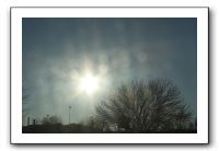 Plaza Snowstorm Aftermath - 02-02-11 042