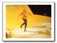 Rod Stewart-Stevie Nicks Concert - 04-13-11 034