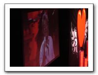 Rod Stewart-Stevie Nicks Concert - 04-13-11 044