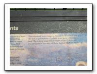 Bob Lewellen Memorial Services - 05-18-11 082