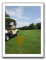 Knickerbocker Golf Tourney and Lobster Dinner - June 2011 143