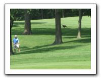 Knickerbocker Golf Tourney and Lobster Dinner - June 2011 172