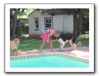 Family and Friends - June 2011 003