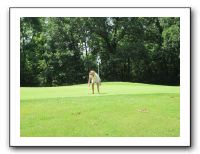 Family Golf Outing - 06-19-11 011