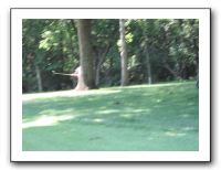 Family Golf Outing - 06-19-11 007