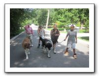 Family and Friends - July 2011 045