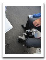 Plaza Art Fair - Sept 2011 022