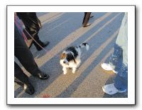Plaza Art Fair - Sept 2011 023