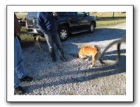 Family Ranch - 12-25-11 146