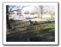 Family Ranch - 12-25-11 166