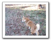 Family Ranch - 12-25-11 168