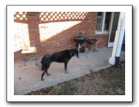 Family Ranch - 12-25-11 169