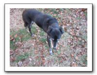Family Ranch - 12-25-11 171