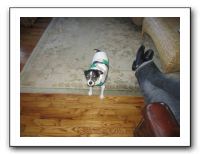 Family Ranch - 12-25-11 026
